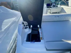 Thumbnail von Sea Ray SDX 250 Outboard