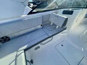 Thumbnail von Sea Ray SDX 250 Outboard