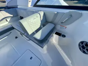 Thumbnail von Sea Ray SDX 250 Outboard