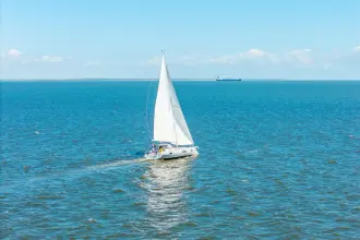 Thumbnail von Beneteau Oceanis Yacht 54 Sea Dawgs