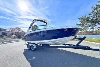 Thumbnail von Sea Ray SDX 230