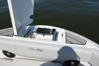 Thumbnail von Sea Ray SDX 250 Outboard