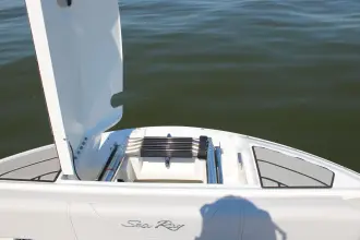 Thumbnail von Sea Ray SDX 250 Outboard