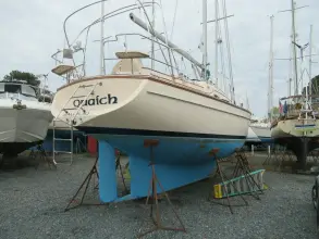 Thumbnail von Island Packet 350 Quaich