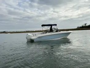 Boston Whaler 210 Vantage