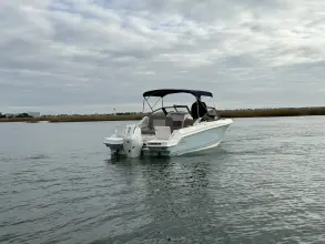 Thumbnail von Boston Whaler 210 Vantage