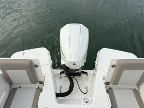 Thumbnail von Boston Whaler 210 Vantage