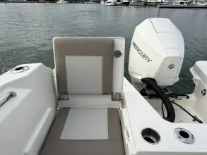 Thumbnail von Boston Whaler 210 Vantage