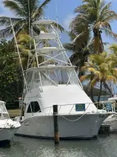Thumbnail von Cabo Flybridge Sportfisherman Andy