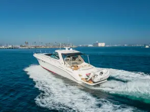 Thumbnail von Sea Ray 540 Sundancer