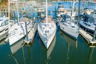 Thumbnail von Jeanneau Sun Odyssey 439