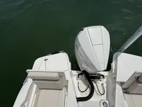 Thumbnail von Boston Whaler 220 Dauntless