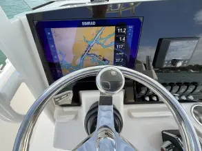 Thumbnail von Boston Whaler 220 Dauntless