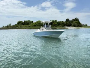 Thumbnail von Boston Whaler 220 Dauntless