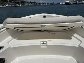 Thumbnail von Boston Whaler 220 Dauntless