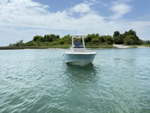 Thumbnail von Boston Whaler 220 Dauntless