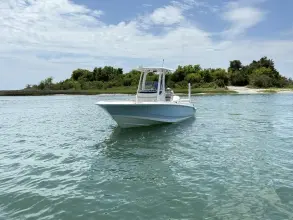 Thumbnail von Boston Whaler 220 Dauntless