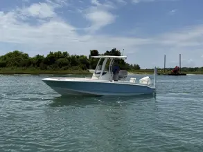 Thumbnail von Boston Whaler 220 Dauntless