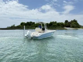 Thumbnail von Boston Whaler 220 Dauntless