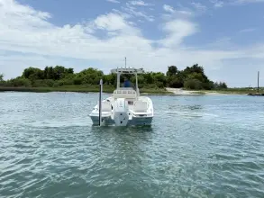 Thumbnail von Boston Whaler 220 Dauntless