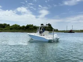 Thumbnail von Boston Whaler 220 Dauntless