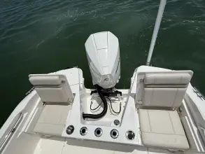 Thumbnail von Boston Whaler 220 Dauntless
