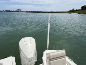 Thumbnail von Boston Whaler 220 Dauntless