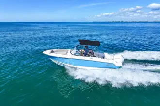 Thumbnail von Boston Whaler 210 Vantage
