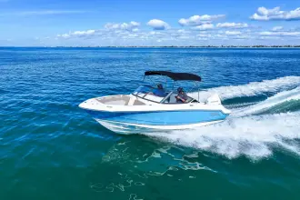 Thumbnail von Boston Whaler 210 Vantage