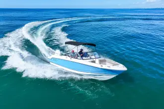 Thumbnail von Boston Whaler 210 Vantage