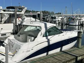 Thumbnail von Cruisers Yachts 390 Coupe Bail Out