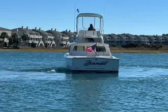 Thumbnail von Bertram 31 Flybridge Cruiser BANDIT