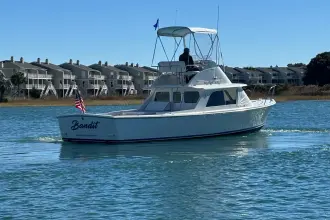 Thumbnail von Bertram 31 Flybridge Cruiser BANDIT