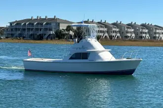 Thumbnail von Bertram 31 Flybridge Cruiser BANDIT