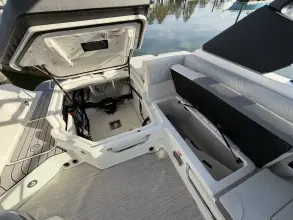 Thumbnail von Sea Ray SDX 250 Outboard