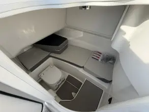 Thumbnail von Sea Ray SDX 250 Outboard