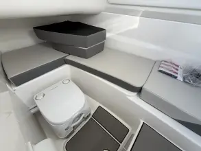 Thumbnail von Sea Ray SDX 250 Outboard