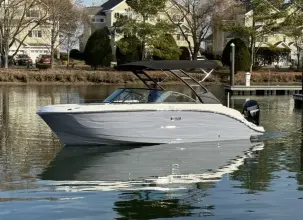 Thumbnail von Sea Ray SDX 250 Outboard
