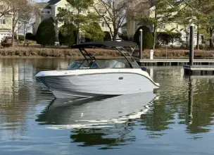 Thumbnail von Sea Ray SDX 250 Outboard