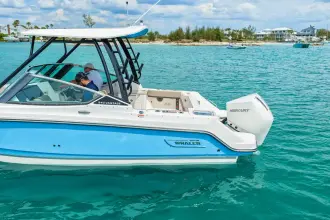 Thumbnail von Boston Whaler 240 Vantage