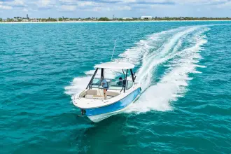 Thumbnail von Boston Whaler 240 Vantage