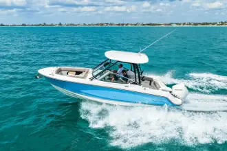 Thumbnail von Boston Whaler 240 Vantage