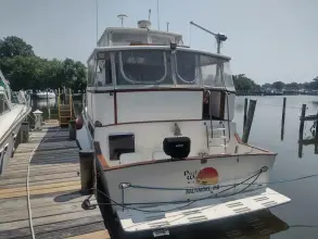 Thumbnail von Sterling GRAND CAYMAN PADDY WAGON