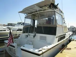 Thumbnail von Camargue Cockpit Limitless