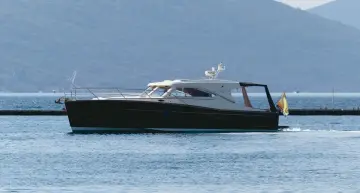Oyster OM43