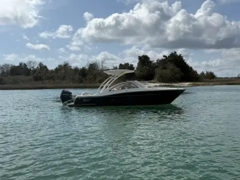 Scout 240 Dorado