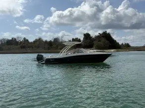 Scout 240 Dorado