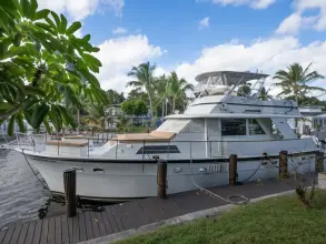Thumbnail von Hatteras 58 Yacht Fish Solena