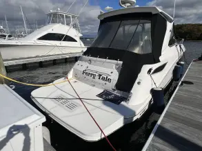 Thumbnail von Sea Ray 350 Sundancer