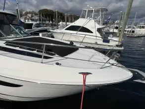 Thumbnail von Sea Ray 350 Sundancer